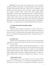 Ispanijos gyvenimas 5 puslapis