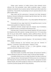 Ispanijos gyvenimas 7 puslapis