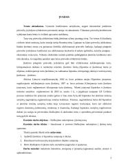 Išieškojimo nukreipimas į įkeistą turtą 2 puslapis