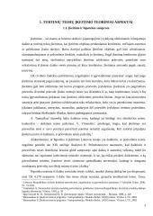 Išieškojimo nukreipimas į įkeistą turtą 3 puslapis