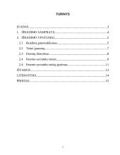 Išradimo samprata ir ypatumai 2 puslapis