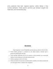 Išradimo samprata ir ypatumai 12 puslapis