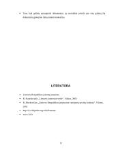 Išradimo samprata ir ypatumai 13 puslapis