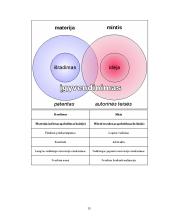 Išradimo samprata ir ypatumai 15 puslapis