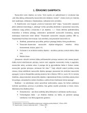 Išradimo samprata ir ypatumai 4 puslapis