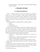 Išradimo samprata ir ypatumai 5 puslapis