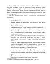 Išradimo samprata ir ypatumai 6 puslapis