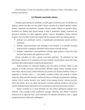 Išradimo samprata ir ypatumai 9 puslapis