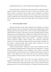 Komercinė paslaptis 3 puslapis