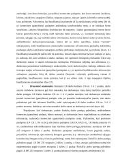 Komercinė paslaptis 10 puslapis