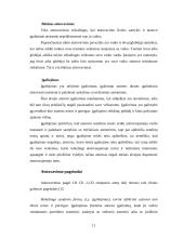 Komercinis atstovavimas 11 puslapis