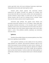 Komercinis atstovavimas 12 puslapis