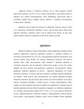 Komercinis atstovavimas 13 puslapis