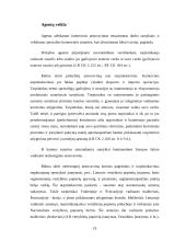 Komercinis atstovavimas 19 puslapis