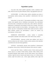 Komercinis atstovavimas 3 puslapis