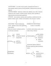 Komercinis atstovavimas 5 puslapis