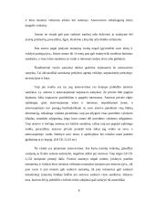 Komercinis atstovavimas 8 puslapis