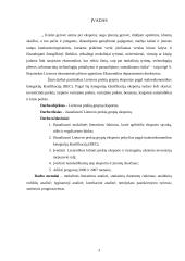 Lietuvos prekių grupių eksporto analizė 3 puslapis