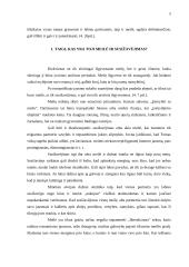 Meilės ir susižavėjimo problemiškumas paauglystėje 5 puslapis