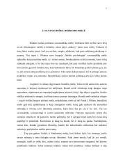 Meilės ir susižavėjimo problemiškumas paauglystėje 7 puslapis
