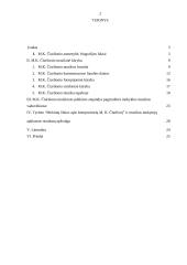 Mikalojaus Konstantino Čiurlionio muzikinio palikimo atspindys pagrindinės mokyklos muzikos vadovėliuose 2 puslapis