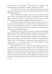 Mikalojaus Konstantino Čiurlionio muzikinio palikimo atspindys pagrindinės mokyklos muzikos vadovėliuose 10 puslapis