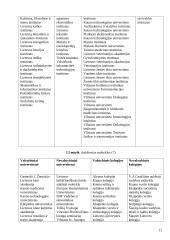 Mokslo tyrimų nacionalinis modelis Lietuvoje 11 puslapis