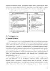 Mokslo tyrimų nacionalinis modelis Lietuvoje 19 puslapis