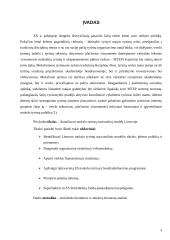 Mokslo tyrimų nacionalinis modelis Lietuvoje 3 puslapis