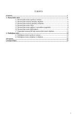 Nuosavybės ir patikėjimo teisės verslo teisėje 2 puslapis