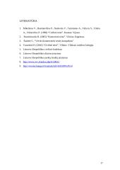 Nuosavybės ir patikėjimo teisės verslo teisėje 18 puslapis