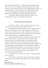 Nuosavybės ir patikėjimo teisės verslo teisėje 6 puslapis