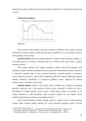 Palūkanos komerciniuose sandoriuose 16 puslapis