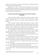 Palūkanos komerciniuose sandoriuose 20 puslapis