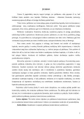 Palūkanos komerciniuose sandoriuose 3 puslapis