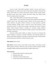Rietavo parko projektas 2 puslapis