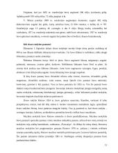 Rietavo parko projektas 13 puslapis