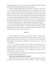 Rietavo parko projektas 16 puslapis