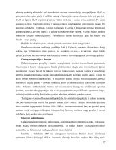 Rietavo parko projektas 17 puslapis