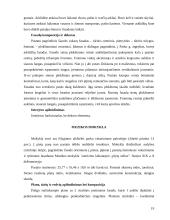 Rietavo parko projektas 19 puslapis