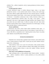 Rietavo parko projektas 20 puslapis