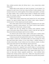 Rietavo parko projektas 9 puslapis