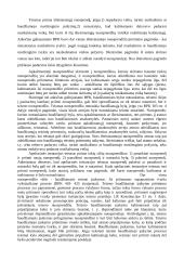 Teismo nuosprendis - teisingumo vykdymo aktas 5 puslapis