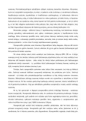 Teismo nuosprendis - teisingumo vykdymo aktas 9 puslapis