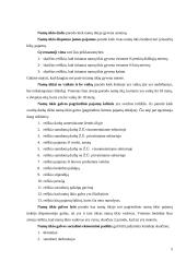 Ūkio statistikos ir ekonometrijos kursinis projektas 5 puslapis