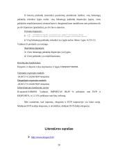 Tarptautinės prekybos tendencijos Lietuvoje 20 puslapis