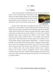 Varnių regioninis parkas 12 puslapis