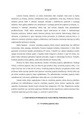 Vertybiniai popieriai ir jų teisinis reguliavimas 2 puslapis