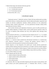 Vidaus krovinių vežimas kelių transportu 10 puslapis