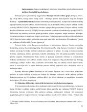 Vientisoji Europos studijų erdvė 11 puslapis